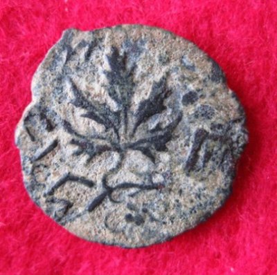 66-73 1.Aufstand Prutah J2, MG 230 (2).JPG