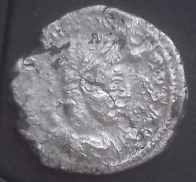 20240524_172804-1.jpg