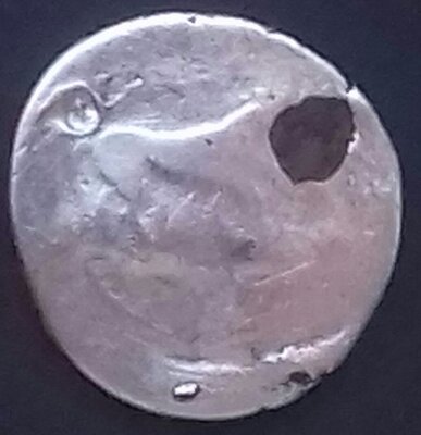 20241026_163559-1-1.jpg