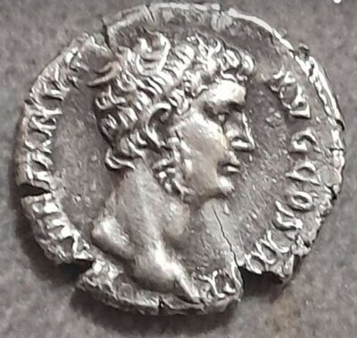muenze2_60p.jpg