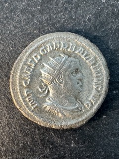 Klein (Mittel (IMG_9341)).jpeg