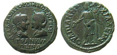 gordtranquilina_anchialus3.JPG