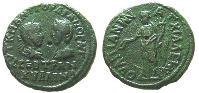 gordtranquilina_anchialus2.JPG