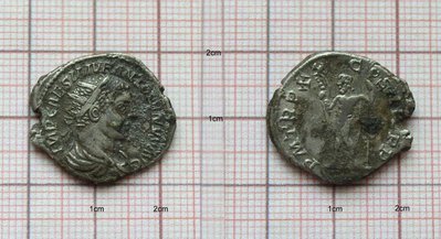 Elagabalus-HybridTRPxx.jpg