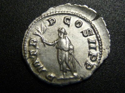 Balbinus 066.jpg