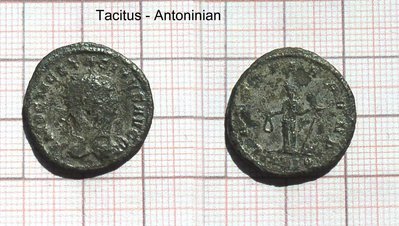 Tacitus1.jpg