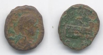 c-Caracalla(fragl.)-Coela-.JPG