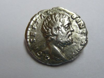 Albinus 014.jpg