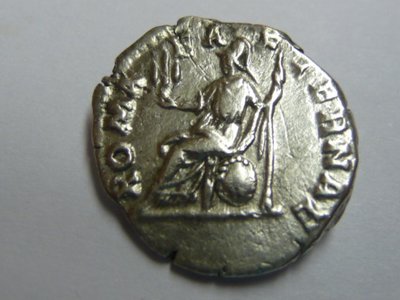 Albinus 008.jpg