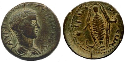 anemeurion_valerianI_SNG lev513.jpg