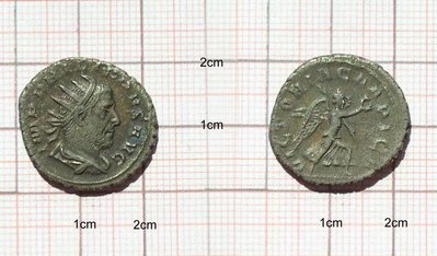 PhilippusArabs-Ant-VICTCARPICA-RIC66.jpg