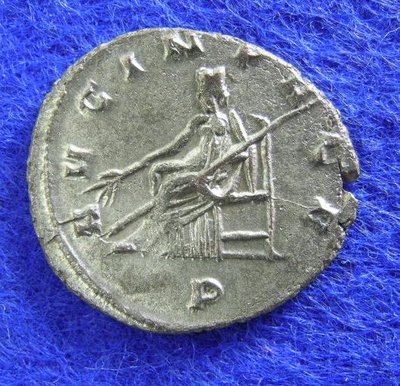 2271c.jpg