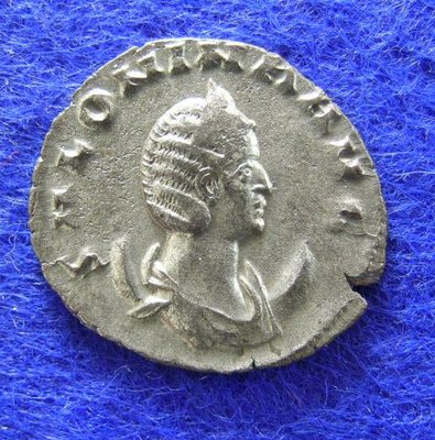 2271b.jpg