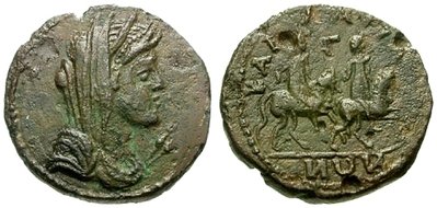 kallatis_pseudoautonom_AMNG284.jpg