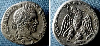 emesa_macrinus_Prieur989.jpg