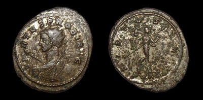 Probus Aegis V1.jpg