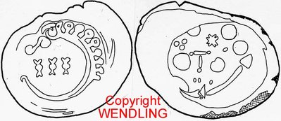 Verwandt mit RGBSch Typ I A Nr.1.JPG