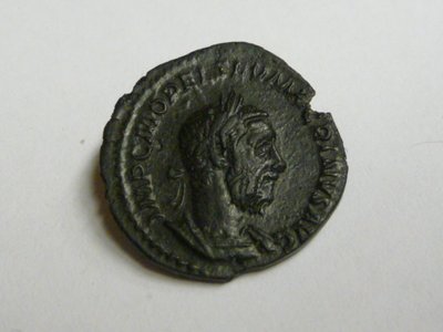 unbestimmter Macrinus 007.jpg