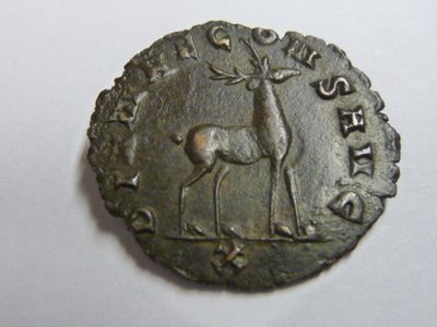 Dianae 071.jpg