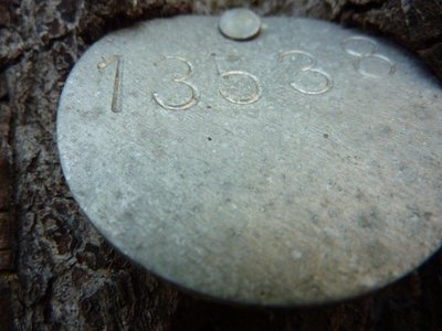 Baummarke-13538.jpg