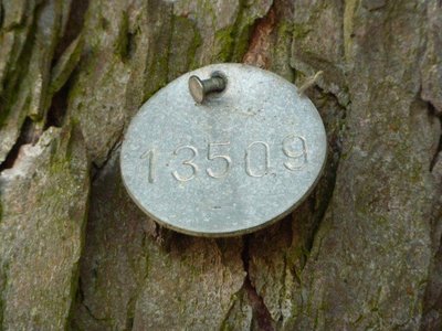 Baummarke-13509.jpg