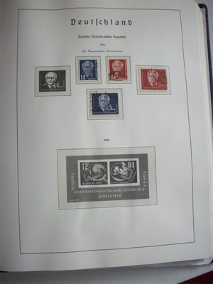 DDR_50.jpg