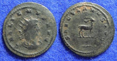 1580.JPG