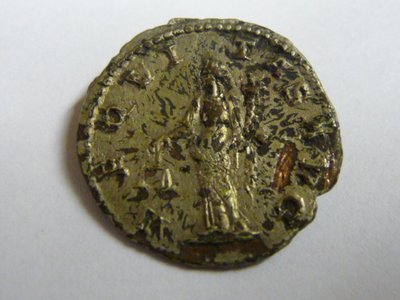 Subaerate 006.jpg