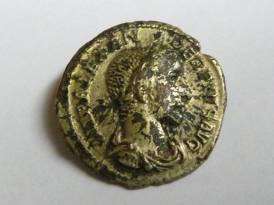 Subaerate 002.jpg