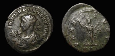 Probus VI.jpg