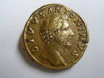 Divus 039.jpg