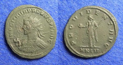 2433a.JPG