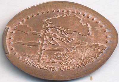 3_Windflüchter_Graal_Müritz.jpg