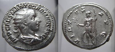 Gordi_virtus.jpg