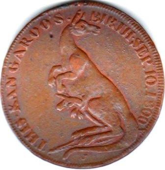 Pidcock430Rev.jpg