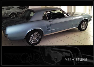 mustang.jpg